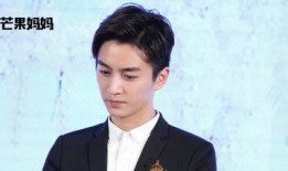 娱乐陈晓吃瓜,娱乐圈的“瓜田”再起波澜