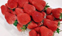 娱乐吃瓜草莓视频,揭秘娱乐圈吃瓜大事件