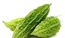 娱乐吃瓜作品有哪些类型,吃瓜群众的多元化娱乐作品类型大盘点