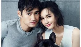 娱乐圈吃瓜爆料在线观看视频下载