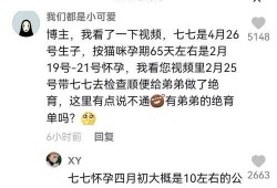 抖音娱乐吃瓜博主是真的吗,是真是假？
