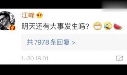 娱乐圈吃瓜网站叫什么,那些你不知道的“吃瓜”网站幕后故事