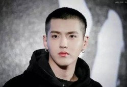 吃瓜娱乐圈大燕子,大燕子吃瓜记