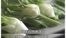 娱乐圈什么真瓜可以吃,那些你绝对不能错过的真实瓜料！