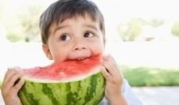 娱乐吃瓜宠物小说,娱乐圈宠物的甜蜜日常