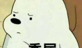 娱乐吃瓜酱受委屈,勇敢面对委屈，坚守正义底线