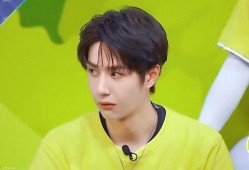 娱乐圈吃瓜爆料 王一博,娱乐圈风云再起，揭秘他的神秘生活