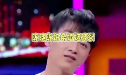 娱乐陈晓吃瓜,娱乐圈的“瓜田”再起波澜