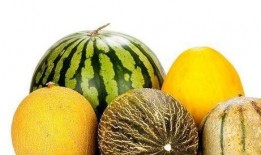 娱乐吃瓜作品有哪些类型,吃瓜群众的多元化娱乐作品类型大盘点