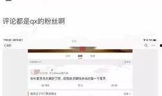 小狗仔每天在娱乐圈吃瓜小说,小狗仔的吃瓜日常