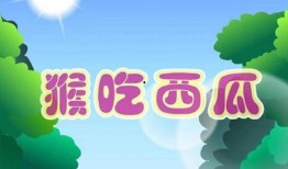 娱乐吃瓜 小故事视频大全,娱乐吃瓜小故事视频集锦