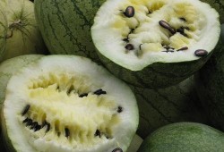 娱乐718吃瓜上不去了,揭秘吃瓜群众为何上不去的神秘面纱