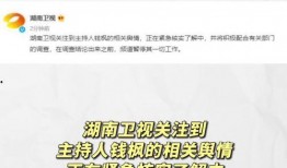 娱乐圈吃瓜文件最新,揭秘明星幕后真相与情感纠葛