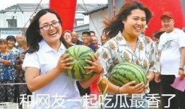 娱乐圈吃瓜吃不动