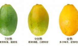 娱乐吃瓜免费吃瓜入口,吃瓜入口等你来开启！