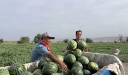 每天娱乐吃瓜,娱乐圈新鲜事速递