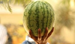 吃瓜娱乐圈什么情况,揭秘吃瓜群众关注的最新热点事件