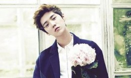 吃瓜娱乐鹿晗完整版,完整版幕后故事大公开