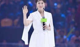 娱乐圈演唱会吃瓜的明星,幕后故事与精彩瞬间