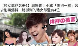 娱乐圈吃瓜辩手小说,吃瓜辩手解密娱乐圈真相