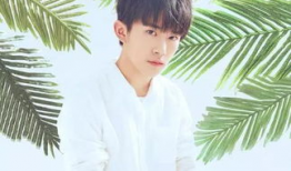 娱乐吃瓜妹易烊千玺小说