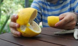 娱乐吃瓜酱柚子,揭秘娱乐圈那些鲜为人知的幕后故事