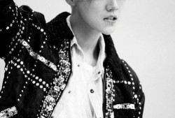 娱乐吃瓜猫鹿晗,娱乐吃瓜猫的时尚之旅