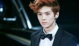 娱乐吃瓜猫鹿晗,娱乐吃瓜猫的时尚之旅