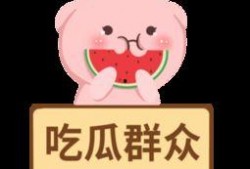 娱乐吃瓜酱的素材视频