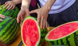 吃瓜娱乐学校,揭秘娱乐圈背后的秘密与趣味