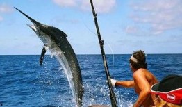 娱乐吃瓜钓鱼视频,吃瓜、钓鱼视频带你领略休闲生活新风尚