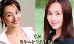 娱乐吃瓜美女主持,美女主持的瓜田传奇