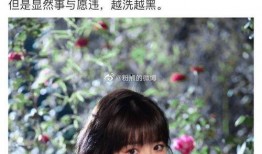 娱乐圈吃瓜崽是谁,揭秘娱乐圈神秘“吃瓜崽”身份之谜