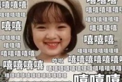 娱乐吃瓜一小时,一小时内吃尽瓜果盛宴