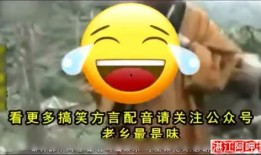 娱乐吃瓜的视频配音素材